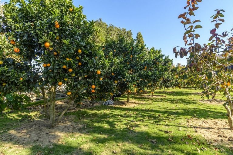 Photo of property in 33 Twin Oak Avenue, Papamoa Beach, Papamoa, 3118