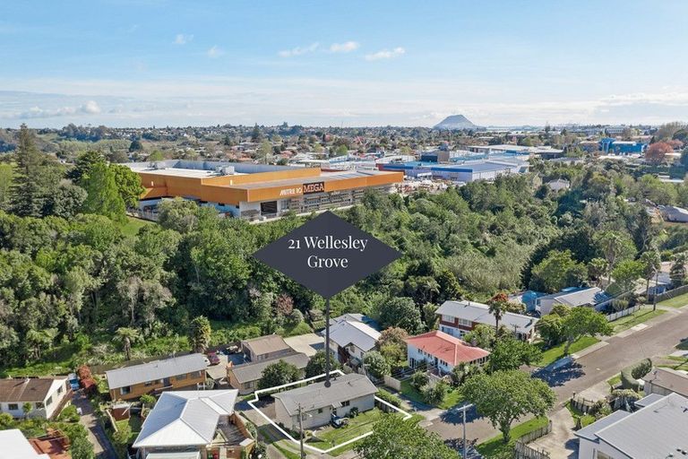 Photo of property in 21a Wellesley Grove, Gate Pa, Tauranga, 3112