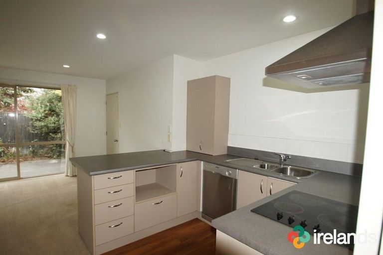 Photo of property in 13a Buffon Street, Waltham, Christchurch, 8023