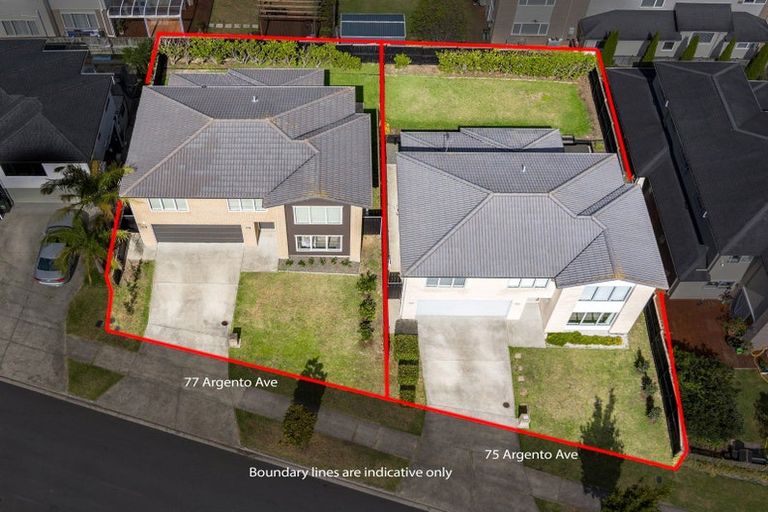 Photo of property in 75 Argento Avenue, Flat Bush, Auckland, 2019