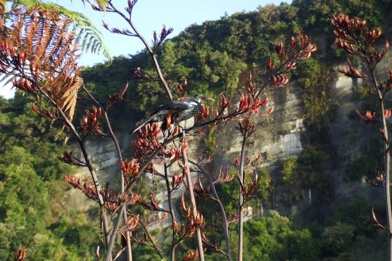 Photo of property in 61 Glasseye Drive, Little Wanganui, Karamea, 7893