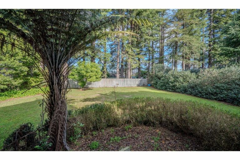 Photo of property in 15 Hawkings Crescent, Kerikeri, 0230