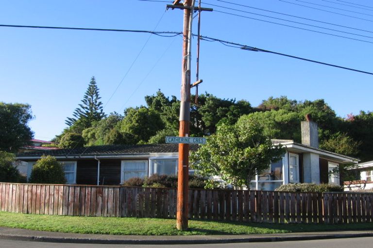 Photo of property in 88 Catherine Crescent, Paparangi, Wellington, 6037