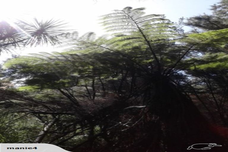 Photo of property in 234 Kerr Road, Parua Bay, Onerahi, 0192