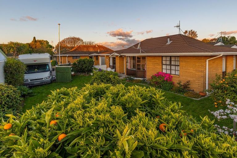 Photo of property in 50b Highbury Drive, Levin, 5510