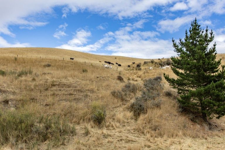 Photo of property in 195 Mound Road, Broomfield, 7482