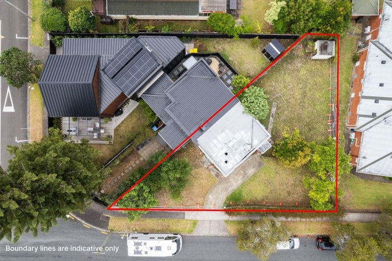 Photo of property in 44 Garland Road, Greenlane, Auckland, 1061