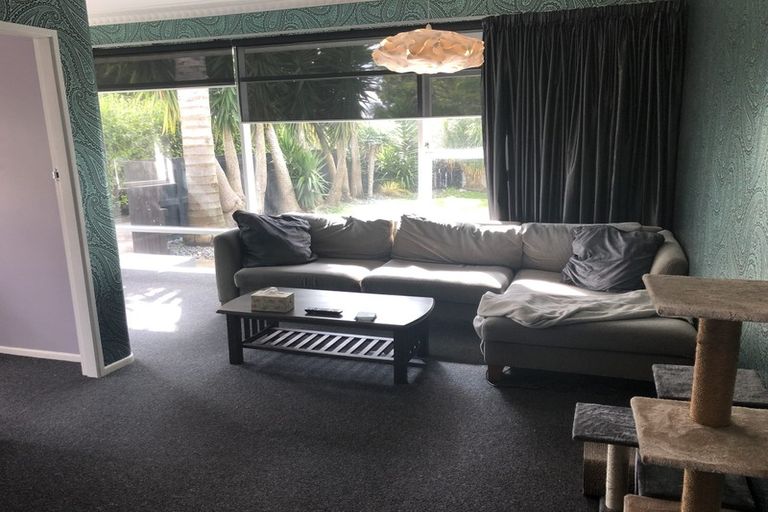 Photo of property in 19 Burrows Street, Tauranga South, Tauranga, 3112