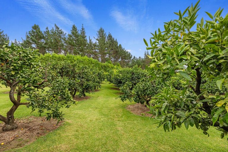 Photo of property in 520 Cambridge Road, Tauriko, Tauranga, 3110