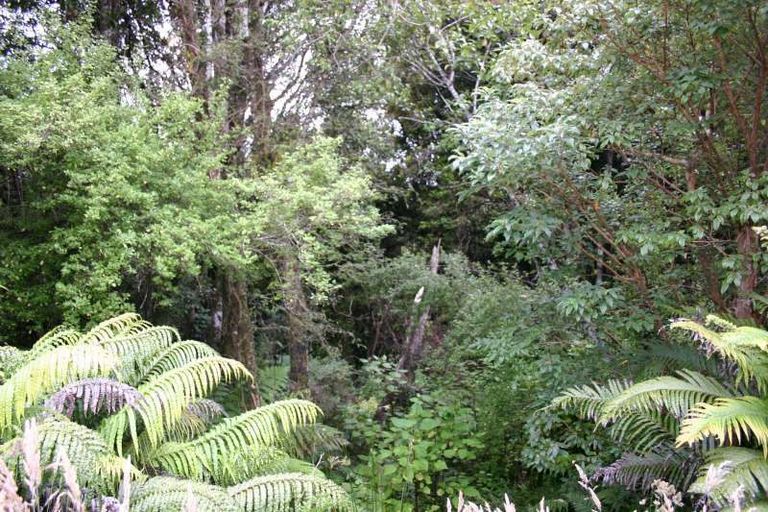 Photo of property in 186 Horseshoe Bay Road, Stewart Island/rakiura, Stewart Island, 9818