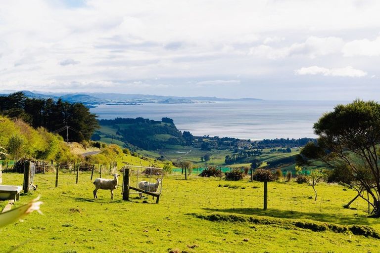 Photo of property in 162 Purakaunui Road, Mihiwaka, Port Chalmers, 9081