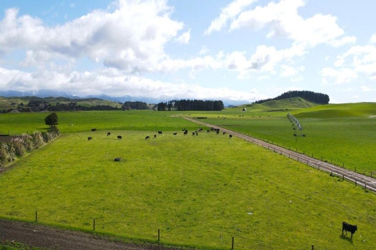 Photo of property in 569 Maunga Road, Dannevirke, 4976