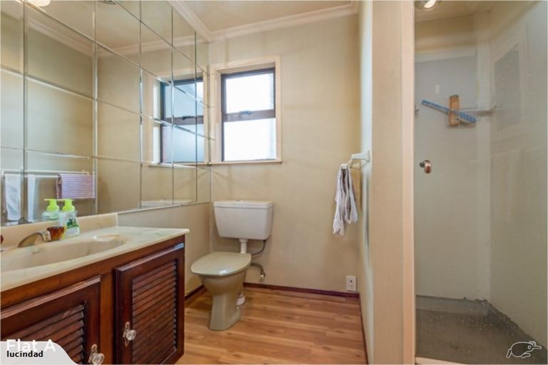 Photo of property in 34a Rata Street, Roslyn, Palmerston North, 4414