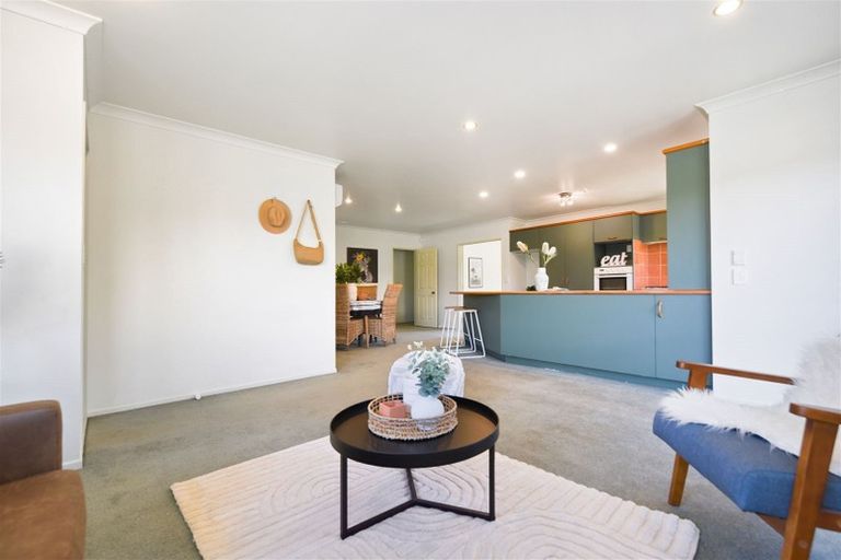 Photo of property in 12 Hastings Place, Hamilton Lake, Hamilton, 3204