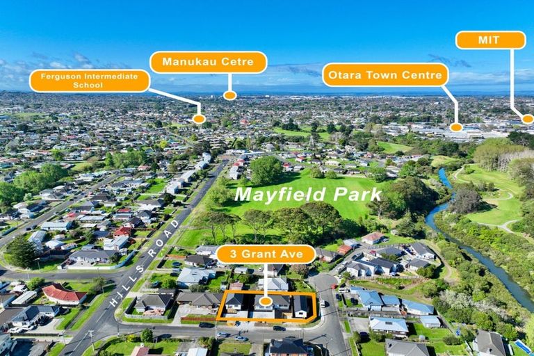 Photo of property in 3 Grant Avenue, Otara, Auckland, 2023