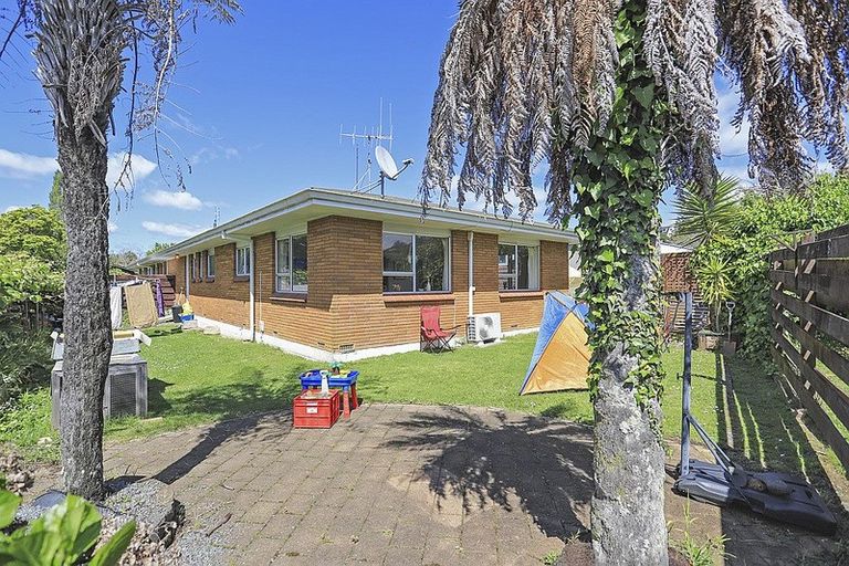 Photo of property in 11a Balmoral Terrace, Otumoetai, Tauranga, 3110