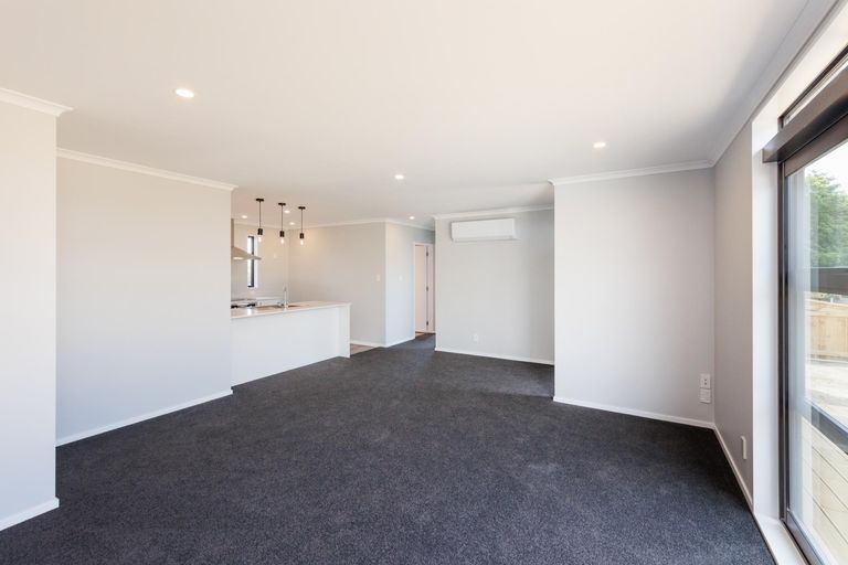 Photo of property in 168 Maxwells Line, Awapuni, Palmerston North, 4412