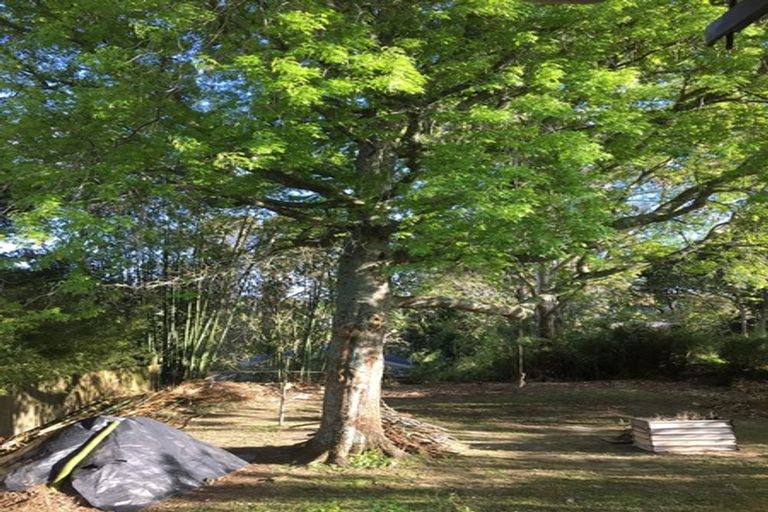 Photo of property in 22 Paramu Avenue, Birkdale, Auckland, 0626