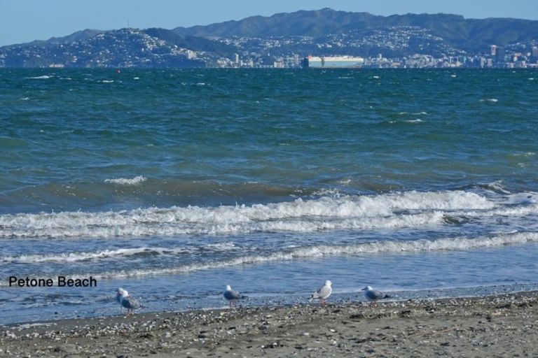 Photo of property in 26 Britannia Street, Petone, Lower Hutt, 5012