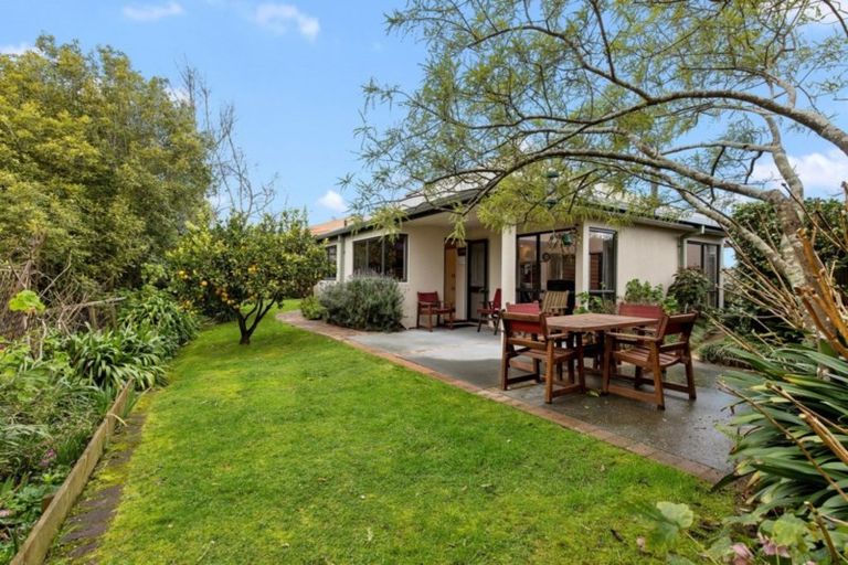 Photo of property in 3 Melrose Place, Hamilton East, Hamilton, 3216