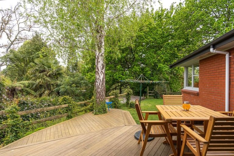 Photo of property in 19 Eton Drive, Hillcrest, Hamilton, 3216