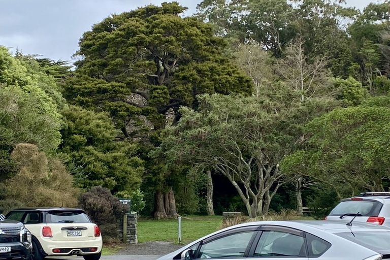 Photo of property in 55 Ottawa Road, Ngaio, Wellington, 6035