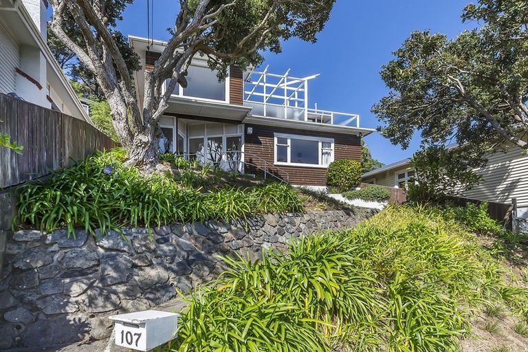 Photo of property in 107 Volga Street, Island Bay, Wellington, 6023