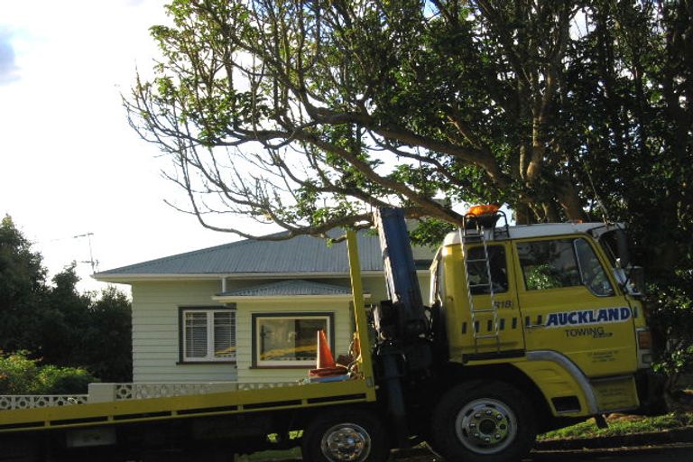 Photo of property in 2 Weston Avenue, Mount Albert, Auckland, 1025
