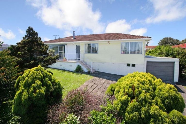 Photo of property in 238 Browns Road, Clendon Park, Auckland, 2103
