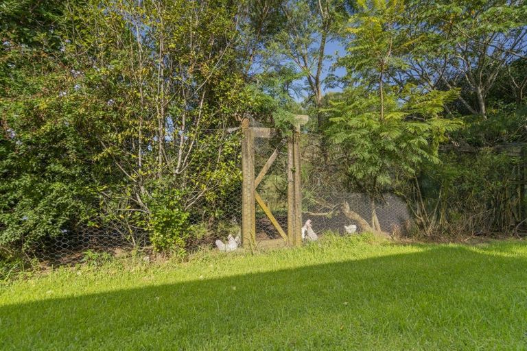 Photo of property in 1246 Whangapoua Sh25 Road, Te Rerenga, Coromandel, 3582