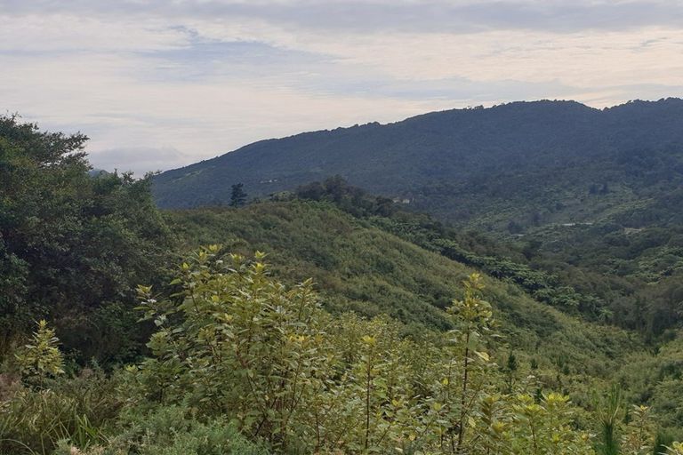 Photo of property in 308 Marsden Road, Greymouth, 7805