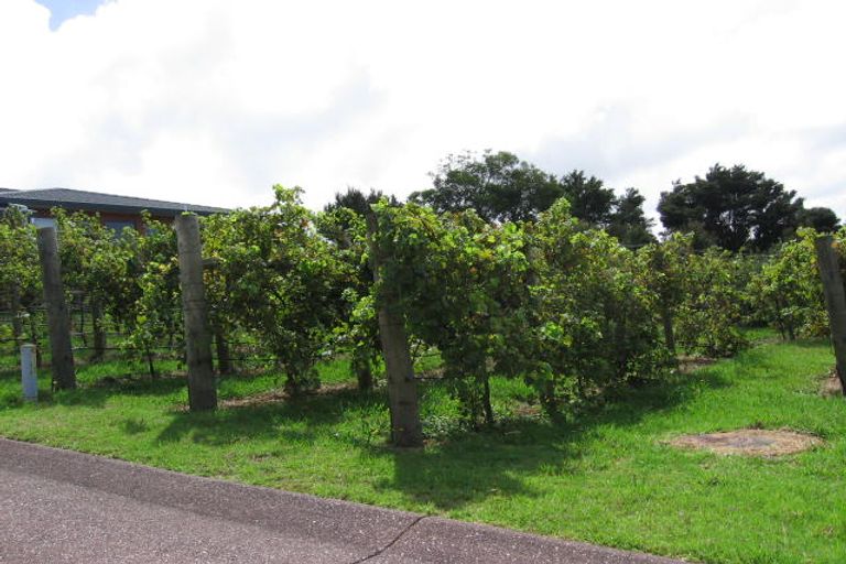 Photo of property in 22 Lorikeet Place, Unsworth Heights, Auckland, 0632