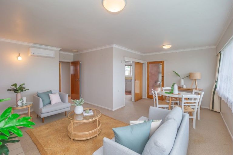 Photo of property in 66 Winchester Street, Levin, 5510