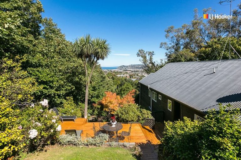 Photo of property in 55b Every Street, Andersons Bay, Dunedin, 9013