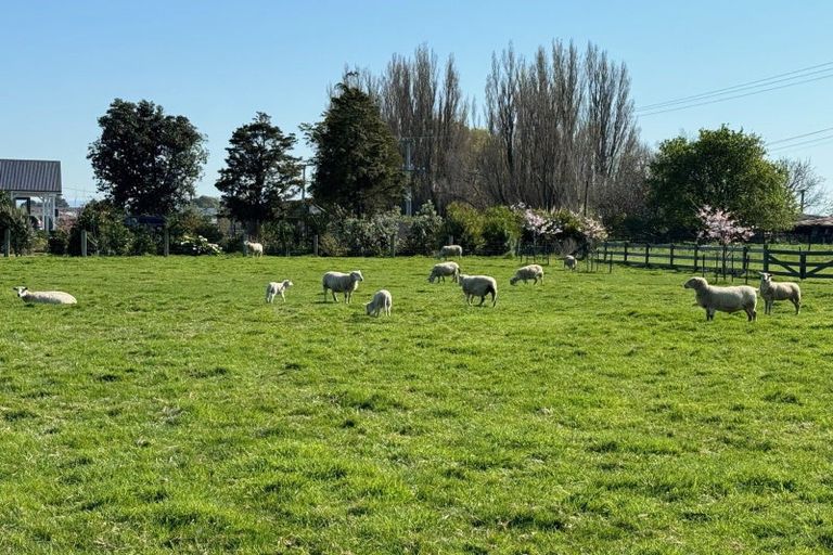 Photo of property in 104 Ferry Road, Clive, 4102