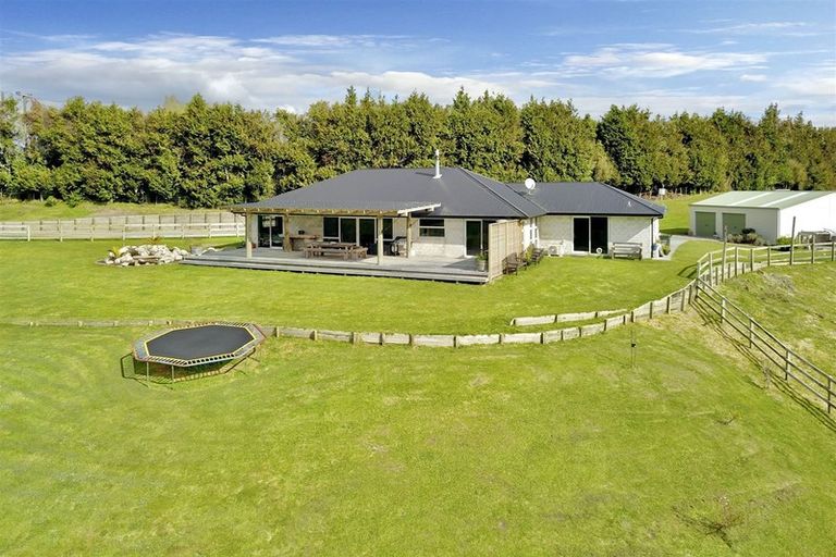 Photo of property in 1160 No 2 Road, Te Ranga, Te Puke, 3182
