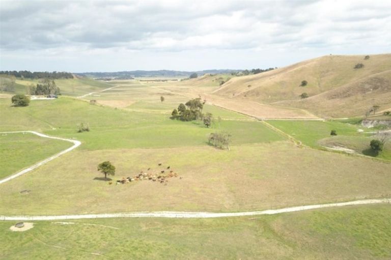 Photo of property in 182 Morrison Road, Arapohue, Dargaville, 0374