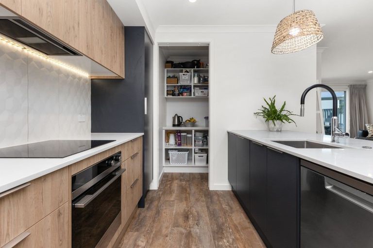 Photo of property in 62 Lochhead Street, Mahora, Hastings, 4120