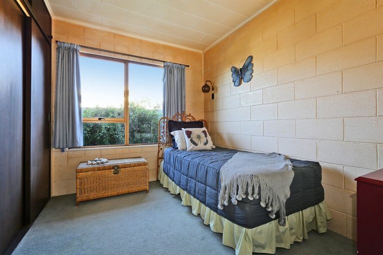 Photo of property in 500 Poplar Place, Akina, Hastings, 4122