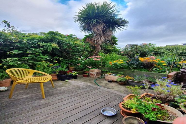 Photo of property in 41 Normanby Street, Newtown, Wellington, 6021