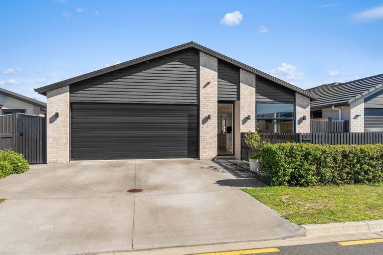 Photo of property in 11 Hinaki Street, Poike, Tauranga, 3112