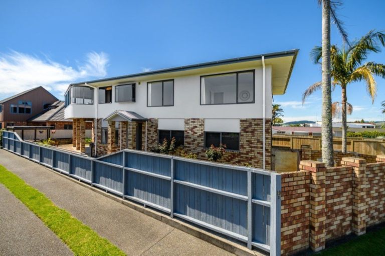Photo of property in 19a Vine Avenue, Maungatapu, Tauranga, 3112
