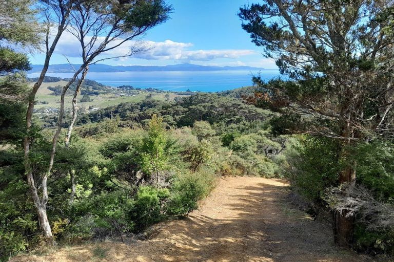 Photo of property in 109 Kawhina Lane, Kuaotunu, Whitianga, 3592