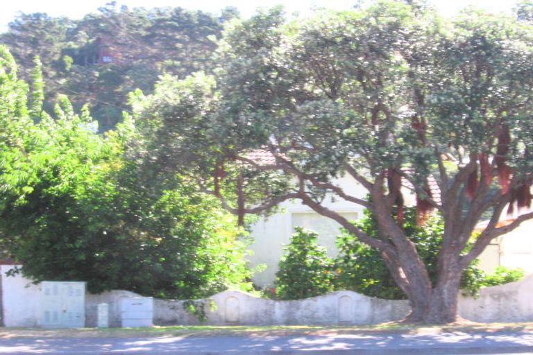 Photo of property in 196 The Parade, Island Bay, Wellington, 6023