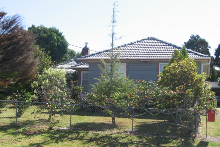 Photo of property in 6 Kohekohe Street, New Lynn, Auckland, 0600