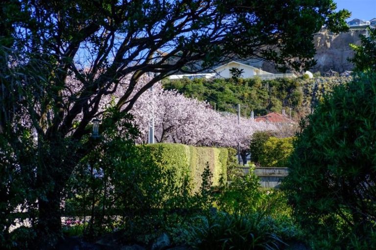 Photo of property in 17 Wycolla Avenue, Saint Clair, Dunedin, 9012