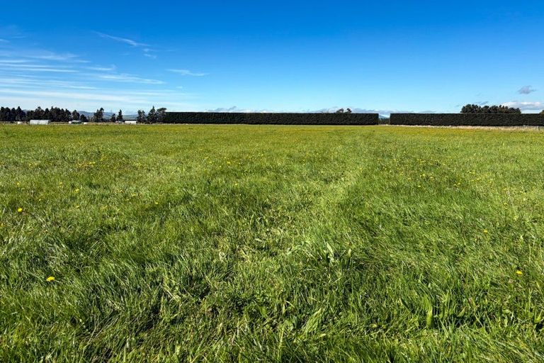 Photo of property in 85 George Street, Edendale, 9825