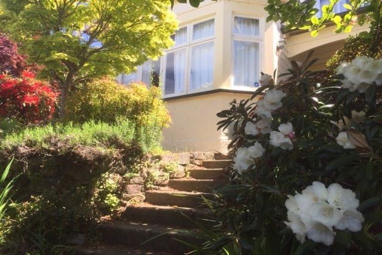 Photo of property in 87 Grendon Street, Maori Hill, Dunedin, 9010