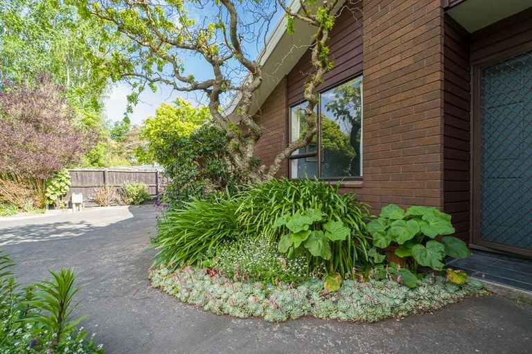 Photo of property in 297c Ashgrove Terrace, Somerfield, Christchurch, 8024