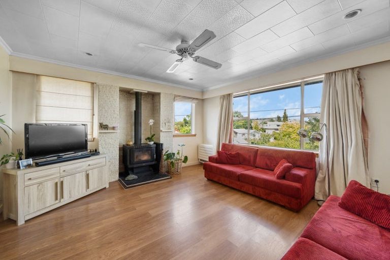 Photo of property in 6 Kerry Street, Alexandra, 9320